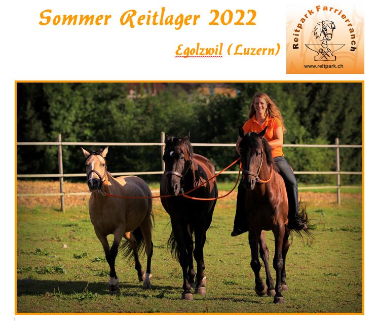 Picture Ausschreibung Sommer Reitlager 2022